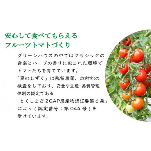 ふるさと納税 トマト ミニトマト 徳島県 阿波市 トマト フルーツトマト 500g 野菜 やさい トマト 薄皮 星のしずく 完熟 高糖度 糖度 8度 果物 先行予約 《2026…_4