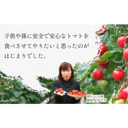ふるさと納税 トマト ミニトマト 徳島県 阿波市 トマト フルーツトマト 500g 野菜 やさい トマト 薄皮 星のしずく 完熟 高糖度 糖度 8度 果物 先行予約 《2026…_6