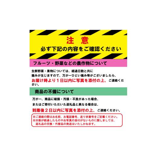 ふるさと納税 トマト ミニトマト 徳島県 阿波市 トマト フルーツトマト 500g 野菜 やさい トマト 薄皮 星のしずく 完熟 高糖度 糖度 8度 果物 先行予約 《2026…_9