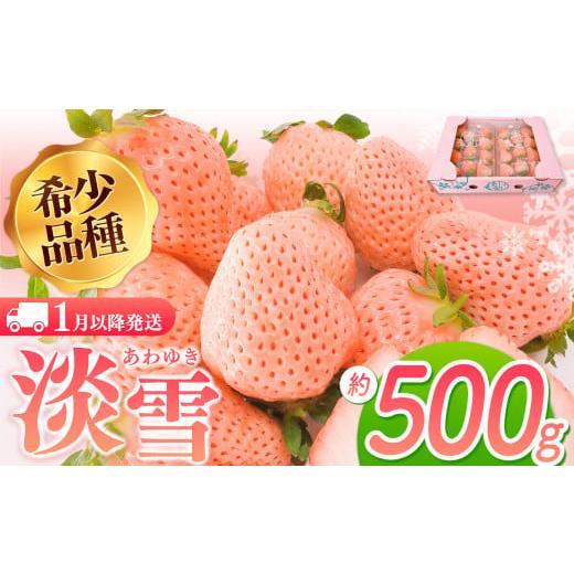 ふるさと納税 いちご 熊本県 玉名市 淡雪 約500g | フルーツ 果物 苺 イチゴ いちご 淡雪 希少品種 熊本 玉名 500g | 10,000円