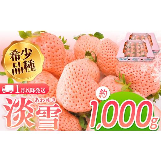 ふるさと納税 いちご 熊本県 玉名市 淡雪 約1000g | フルーツ 果物 苺 イチゴ いちご 淡雪 希少品種 熊本 玉名 1000g | 17,000円