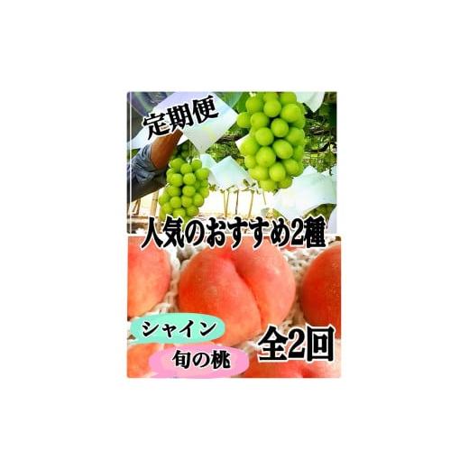 ふるさと納税 もも 山梨県 甲州市 定期便 ぶどうも桃も両方食べたい 1回目 桃 2回目 シャインマスカット 2026年発送 (ISI)C9-800 桃 もも モモ シャインマ…