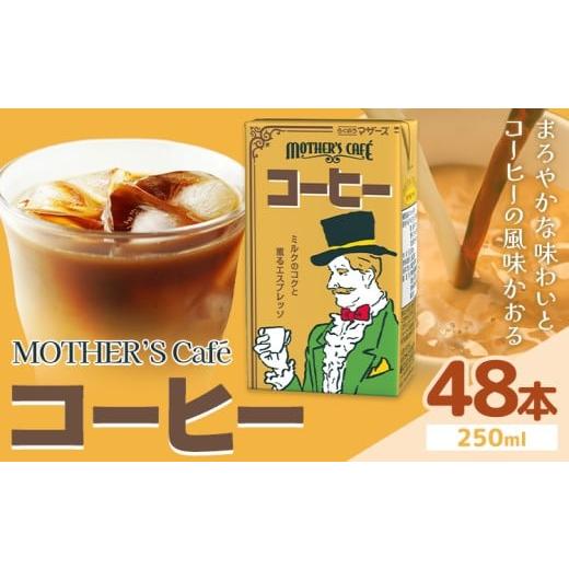 ふるさと納税 コーヒー 飲料 熊本県 菊池市 常温保存可能 コーヒー 250ml × 48本 合同会社たべたせいか[30日以内に出荷予定(土日祝除く)]熊本県 菊池市 コ…