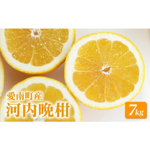 ふるさと納税 みかん・柑橘類 愛媛県 愛南町 河内晩柑 7kg みかん 愛南ゴールド 和製 グレープフルーツ みかん 蜜柑 柑橘 柑橘類 フルーツ 果物 くだもの 食品…