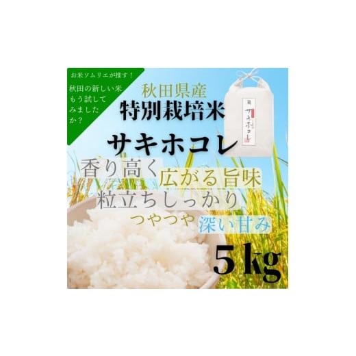 ふるさと納税 秋田県 湯沢市 特別栽培米 サキホコレ 5kg[B3-2302]