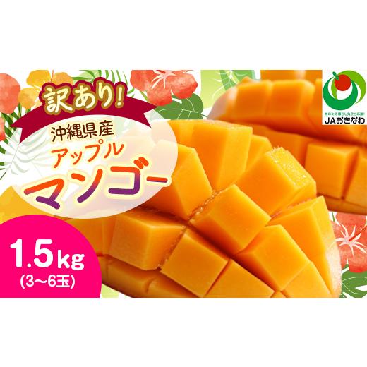 ふるさと納税 マンゴー 沖縄県 西原町  2026年6月から順次発送・訳あり アップルマンゴー1.5kg(3〜6玉)_ マンゴー フルーツ 果物 くだもの アップルマンゴー …_1