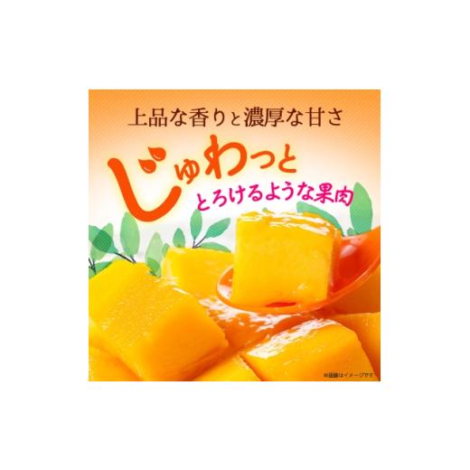 ふるさと納税 マンゴー 沖縄県 西原町  2026年6月から順次発送・訳あり アップルマンゴー1.5kg(3〜6玉)_ マンゴー フルーツ 果物 くだもの アップルマンゴー …_2