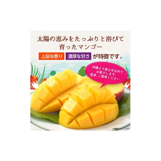 ふるさと納税 マンゴー 沖縄県 西原町  2026年6月から順次発送・訳あり アップルマンゴー1.5kg(3〜6玉)_ マンゴー フルーツ 果物 くだもの アップルマンゴー …_4