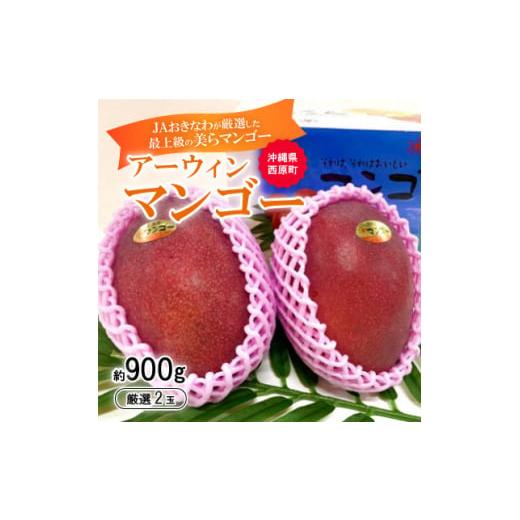 ふるさと納税 沖縄県 西原町 [2024年発送予定・数量限定]糖度15度以上を選別した「美らマンゴー」2玉(約900g)