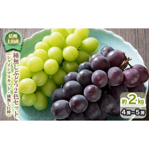 ふるさと納税 ぶどう 巨峰 長野県 上田市 シャインマスカット 巨峰 信州上田産 種なし ぶどう 2色 セット 約2kg 4〜5房 詰め合わせ 葡萄 ブドウ マスカット 種…