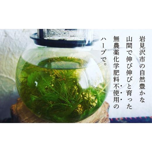 ふるさと納税 お茶類 北海道 岩見沢市 定期便 森のハーブティーセット(3点合計39g) 1ヶ月に1回 計3回のお届け 無農薬・化学肥料不使用 51102 定期便 1ヶ月に1…