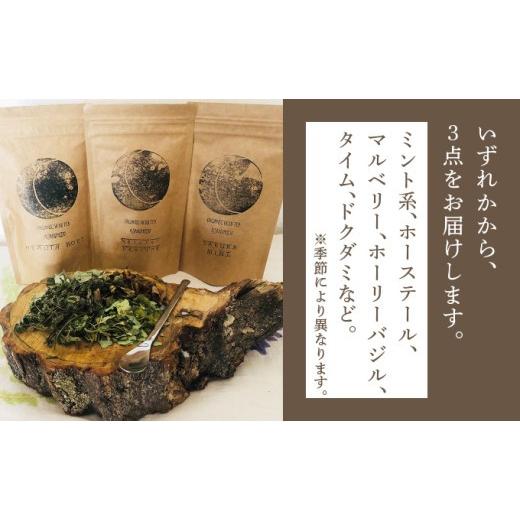 ふるさと納税 お茶類 北海道 岩見沢市 定期便 森のハーブティーセット(3点合計39g) 1ヶ月に1回 計3回のお届け 無農薬・化学肥料不使用 51102 定期便 1ヶ月に1…