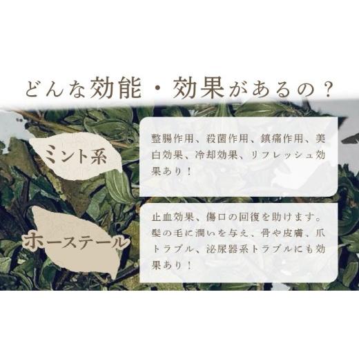 ふるさと納税 お茶類 北海道 岩見沢市 定期便 森のハーブティーセット(3点合計39g) 1ヶ月に1回 計3回のお届け 無農薬・化学肥料不使用 51102 定期便 1ヶ月に1…