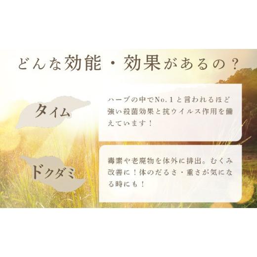 ふるさと納税 お茶類 北海道 岩見沢市 定期便 森のハーブティーセット(3点合計39g) 2ヶ月に1回 計3回のお届け 無農薬・化学肥料不使用 51102 定期便 2ヶ月に1…