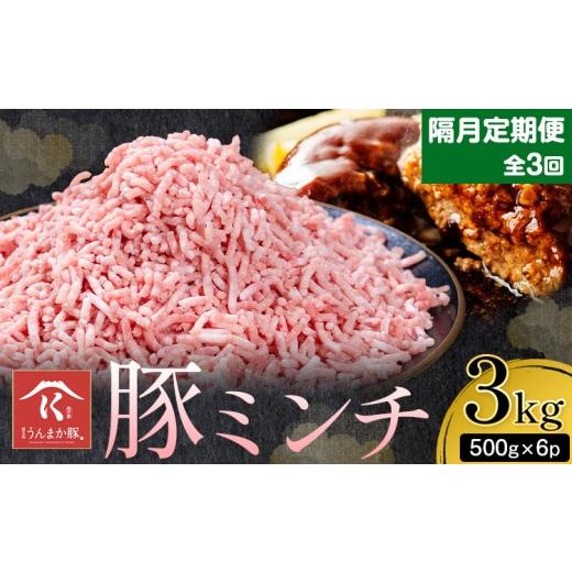 ふるさと納税 豚肉 ハンバーグ 鹿児島県 さつま町 隔月定期便3回 鹿児島 うんまか 豚ミンチ 計3kg 500g×6P 株式会社寺師[お申し込みの翌月から出荷]鹿児島…