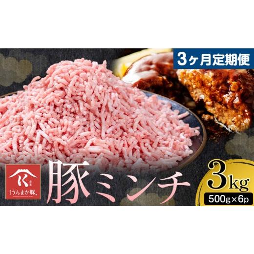 ふるさと納税 豚肉 ハンバーグ 鹿児島県 さつま町 3ヶ月定期便 鹿児島 うんまか 豚ミンチ 計3kg 500g×6P 株式会社寺師[お申し込みの翌月から出荷]鹿児島県…