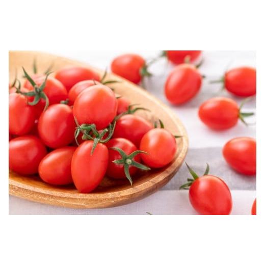 ふるさと納税 トマト ミニトマト 和歌山県 御坊市 完熟ミニトマト(アイコ)