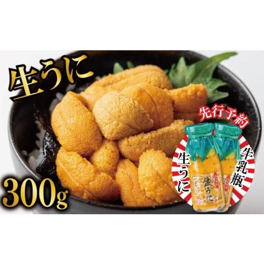 ふるさと納税 ウニ 岩手県 大船渡市 2026年先行予約 生うに 牛乳瓶 300g 150g × 2本 2026年5月下旬〜発送予定 無添加 ミョウバン不使用 冷蔵 岩手県 [ 季節…