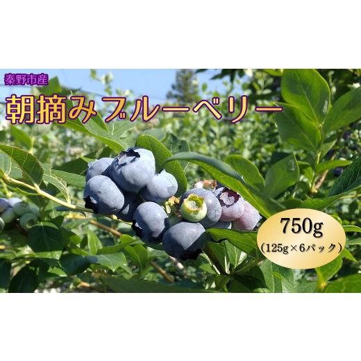 ふるさと納税 果物類 神奈川県 秦野市 先行予約 6月から順次発送 フレッシュブルーベリー|朝摘み 125g×6パック 果物 国産 完熟 健康 神奈川 秦野 012-24