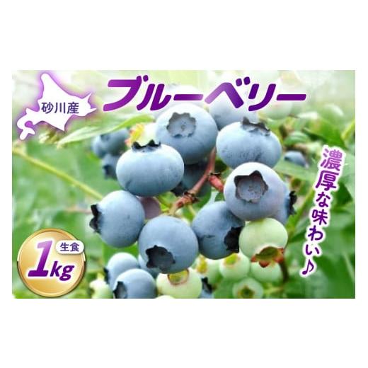 ふるさと納税 ぶどう 北海道 砂川市 [先行予約] 生食 ブルーベリー 1kg ノーザン・ベリーズ 北海道 砂川市 12260529 果物 フルーツ 国産 期間限定 数量限定 …
