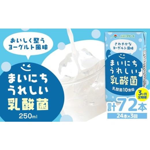 ふるさと納税 飲料類 乳飲料 熊本県 菊池市 常温保存可能 1ヶ月毎3回定期便 まいにちうれしい 乳酸菌 ヨーグルト風味 250ml×24本 計72本 合同会社たべたせい…