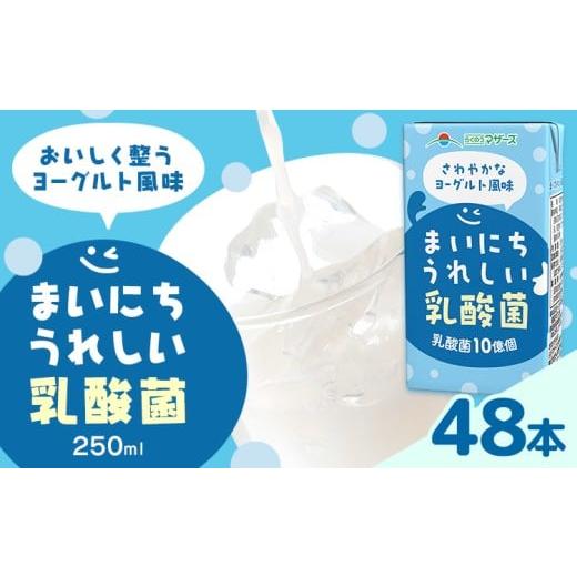 ふるさと納税 飲料類 乳飲料 熊本県 菊池市 常温保存可能 まいにちうれしい 乳酸菌 ヨーグルト風味 250ml×48本 合同会社たべたせいか[30日以内に出荷予定(土…