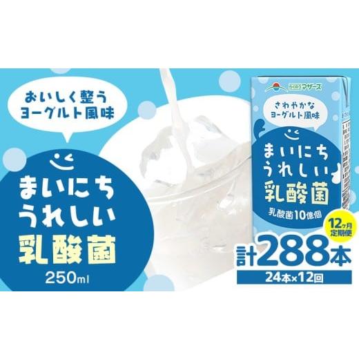 ふるさと納税 飲料類 乳飲料 熊本県 菊池市 常温保存可能 1ヶ月毎12回定期便 まいにちうれしい 乳酸菌 ヨーグルト風味 250ml×24本 計288本 合同会社たべたせ…