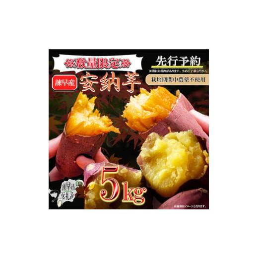 ふるさと納税 野菜類 サツマイモ 長崎県 諫早市 2025年11月より順次発送/先行予約 訳あり 栽培期間中農薬不使用 安納芋 5kg / いも イモ 芋 さつまいも さ…