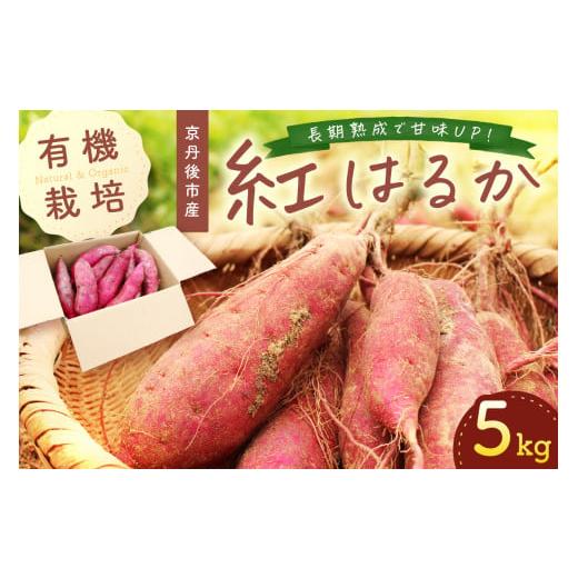 ふるさと納税 野菜類 サツマイモ 京都府 京丹後市 てんとうむしばたけ 有機さつまいも 5kg (紅はるか) 有機野菜 さつま芋 サツマイモ 薩摩芋 ふるさと納税…