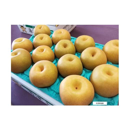 ふるさと納税 梨 栃木県 大田原市 深澤生り物園さんの梨差し上げ物［幸水］2.5kg 8〜9月頃送りとどける