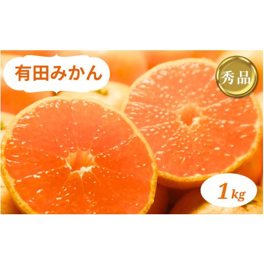 ふるさと納税 果物類 みかん 和歌山県 すさみ町 和歌山県産 有田みかん 1kg 秀品 2026年10月中旬-2026年1月中旬頃に順次発送予定(お届け日指定不可) smt003A