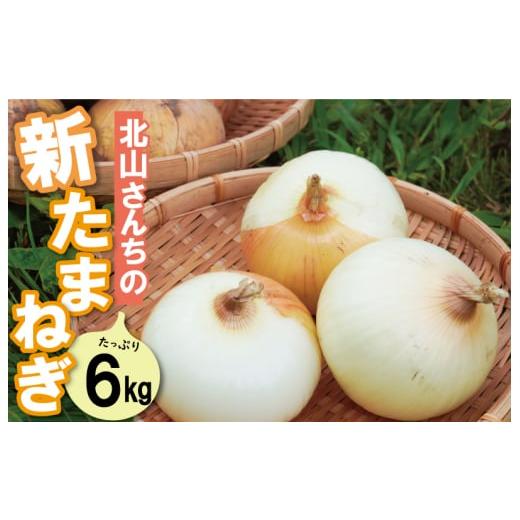 ふるさと納税 野菜類 玉ねぎ 三重県 明和町 北山さんちの新たまねぎ 6kg 産地直送 新鮮 野菜 季節の野菜 旬 直送 玉ねぎ タマネギ 新玉ねぎ 国産 生がおいしい…