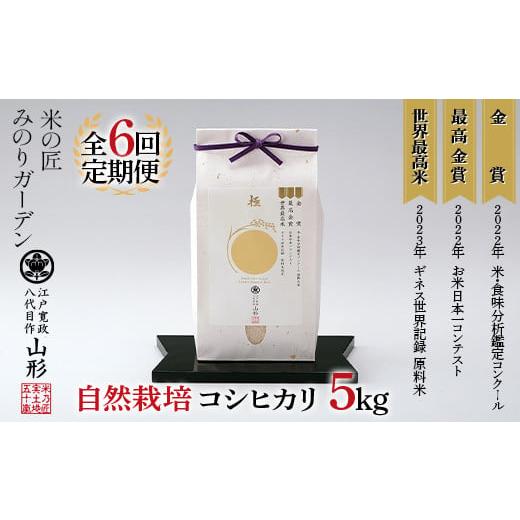 ふるさと納税 米 コシヒカリ 山形県 新庄市 定期便 5kg×6回 米・食味分析鑑定コンクール国際大会 金賞受賞米・自然栽培 コシヒカリ