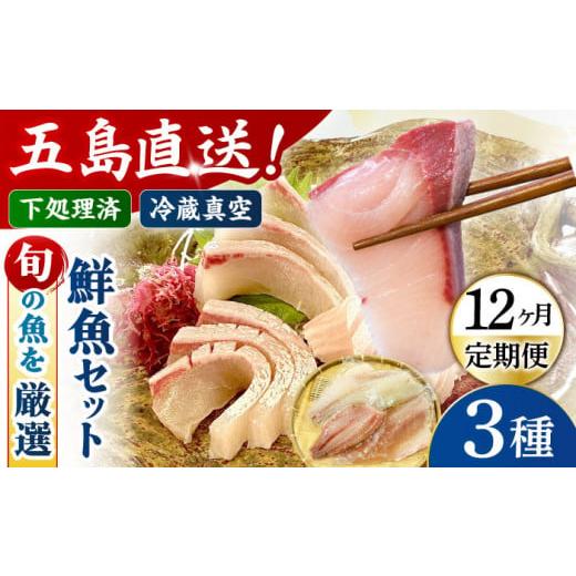 ふるさと納税 旬の鮮魚等 長崎県 五島市  12回定期便 冷蔵 下処理済 鮮魚ボックス3種 五島市／金沢鮮魚 PEP014 金澤仕立て 鮮魚 冷蔵 真空パック 新鮮 下処理…_1