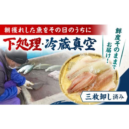 ふるさと納税 旬の鮮魚等 長崎県 五島市  12回定期便 冷蔵 下処理済 鮮魚ボックス3種 五島市／金沢鮮魚 PEP014 金澤仕立て 鮮魚 冷蔵 真空パック 新鮮 下処理…_2