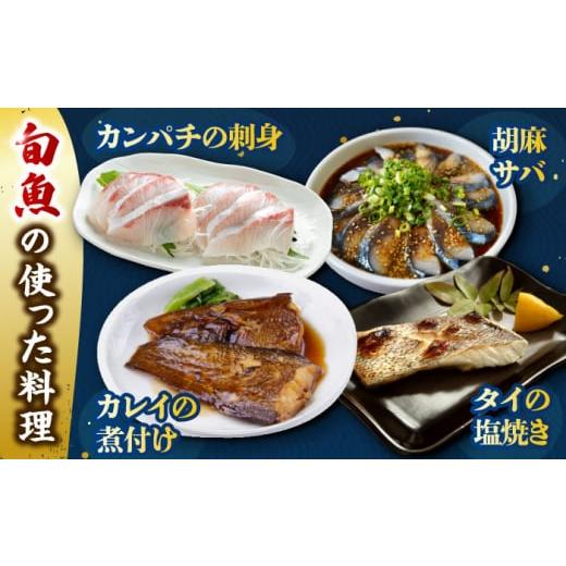 ふるさと納税 旬の鮮魚等 長崎県 五島市  12回定期便 冷蔵 下処理済 鮮魚ボックス3種 五島市／金沢鮮魚 PEP014 金澤仕立て 鮮魚 冷蔵 真空パック 新鮮 下処理…_4