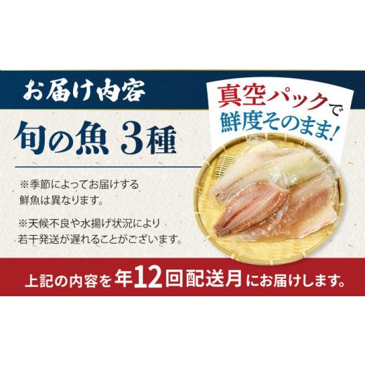 ふるさと納税 旬の鮮魚等 長崎県 五島市  12回定期便 冷蔵 下処理済 鮮魚ボックス3種 五島市／金沢鮮魚 PEP014 金澤仕立て 鮮魚 冷蔵 真空パック 新鮮 下処理…_6