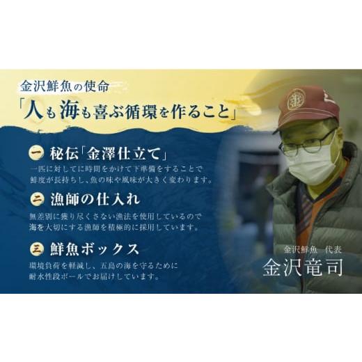 ふるさと納税 旬の鮮魚等 長崎県 五島市  12回定期便 冷蔵 下処理済 鮮魚ボックス3種 五島市／金沢鮮魚 PEP014 金澤仕立て 鮮魚 冷蔵 真空パック 新鮮 下処理…_8
