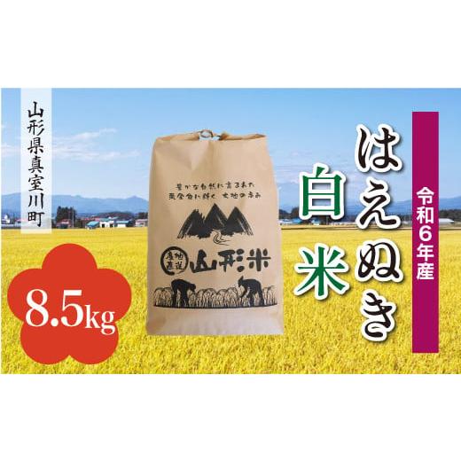 ふるさと納税 山形県 真室川町 [配送時期が選べて便利] 令和6年産 真室川町厳選 はえぬき [白米] 8.5kg(8.5kg×1袋)