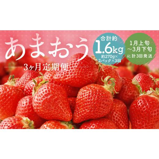 ふるさと納税 いちご 福岡県 筑後市 3回定期便 福岡県産 あまおう 合計約540g 約270g×2パック 2026年1月上旬〜3月下旬迄発送