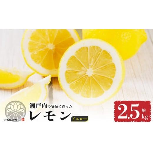 ふるさと納税 みかん・柑橘類 レモン 愛媛県 松山市 先行予約 イエローレモン 2026年1月上旬から発送 約2.5kg 防腐剤 ワックス 不使用| 訳あり レモン 檸檬 …