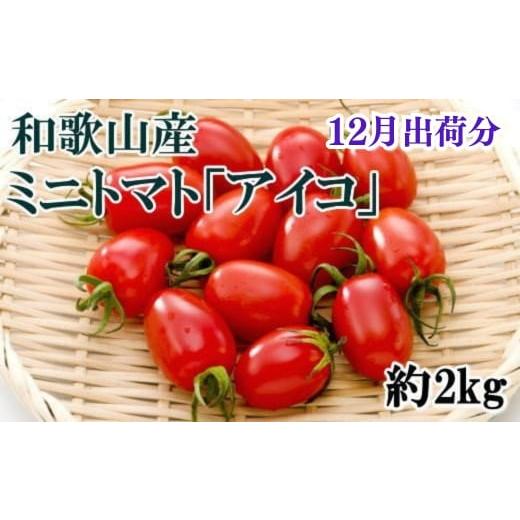 ふるさと納税 トマト ミニトマト 和歌山県 すさみ町 12月出荷分 和歌山産ミニトマト「アイコトマト」約2kg(S・Mサイズおまかせ) tec100A-12 12月発送分