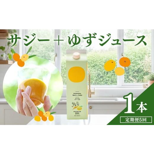 ふるさと納税 果汁飲料 茨城県 古河市  定期便5カ月 サジー グアマラルサジー＋ゆず 1000ml　毎月1本5カ月コース｜サジージュース サジー シーベリー 沙棘 グ…_1