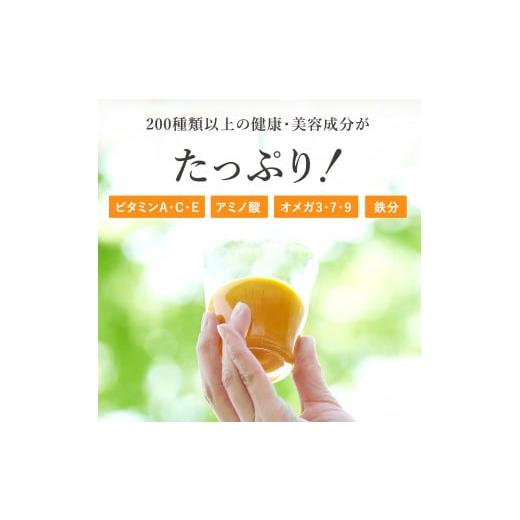 ふるさと納税 果汁飲料 茨城県 古河市  定期便5カ月 サジー グアマラルサジー＋ゆず 1000ml　毎月1本5カ月コース｜サジージュース サジー シーベリー 沙棘 グ…_2