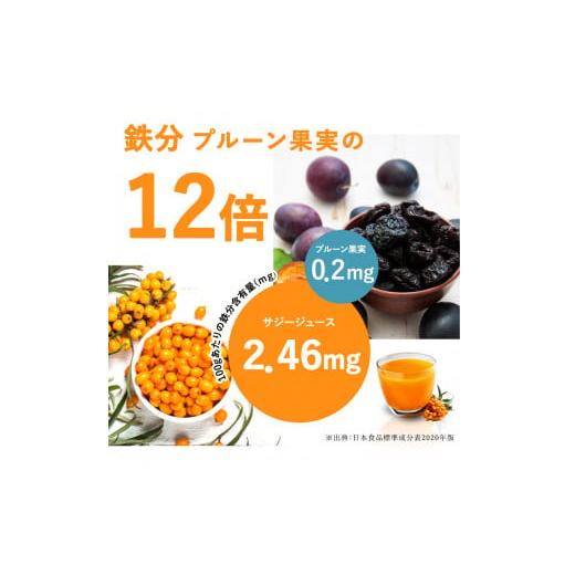 ふるさと納税 果汁飲料 茨城県 古河市  定期便5カ月 サジー グアマラルサジー＋ゆず 1000ml　毎月1本5カ月コース｜サジージュース サジー シーベリー 沙棘 グ…_7