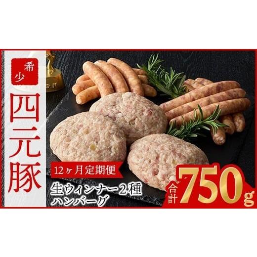 ふるさと納税 肉 ハンバーグ 岩手県 花巻市 定期便12ヶ月 四元豚 グルメセット A 3種 750g 1902_1
