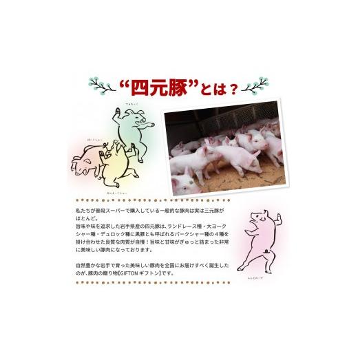 ふるさと納税 肉 ハンバーグ 岩手県 花巻市 定期便12ヶ月 四元豚 グルメセット A 3種 750g 1902_3