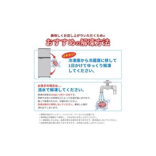 ふるさと納税 肉 ハンバーグ 岩手県 花巻市 定期便12ヶ月 四元豚 グルメセット A 3種 750g 1902_5