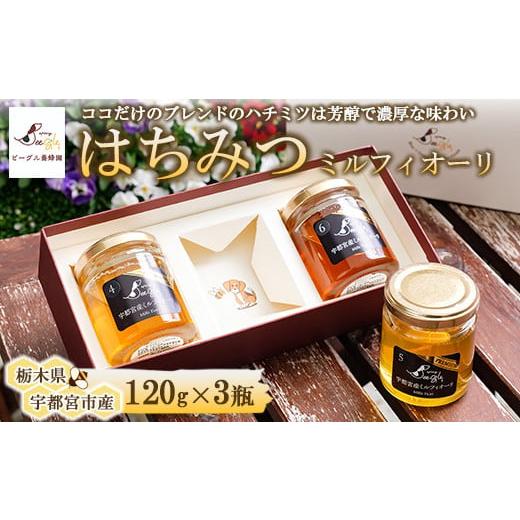 ふるさと納税 加工品等 はちみつ 栃木県 宇都宮市 ビーグル養蜂園 はちみつ 3個セットギフトセレクション｜宇都宮産ミルフィオーリ Mille Fiori 大谷産 ハチミ…の画像