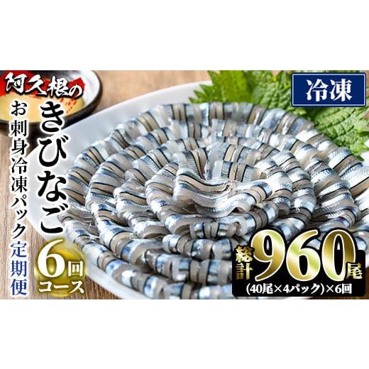 ふるさと納税 魚貝類 鹿児島県 阿久根市 定期便・全6回(冷凍便) 鹿児島県産 阿久根のきびなごお刺身セット(計960尾・40尾×4P×6回)冷凍 魚介類 海鮮 魚 きび…